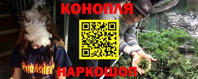 винт Партизанск