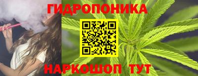 винт Партизанск