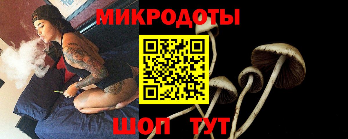 Галлюциногенные грибы мухоморы  Псилоцибиновые грибы прущие грибы  Вход с VPN  где можно купить наркотик  Брянск 