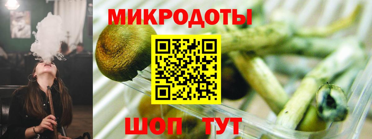 Галлюциногенные грибы Psilocybine cubensis Брянск